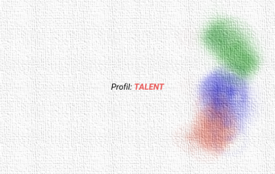 Detailní popis jednotlivých charakteristik Tréninkových profilů - Talent